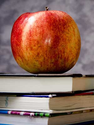 发卡网正版的ddos攻击ip软件下载